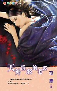 天外飞来的老婆 封面