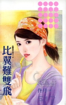比翼难双飞 封面