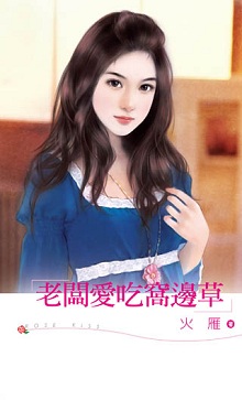 当段誉爱上慕容复 封面
