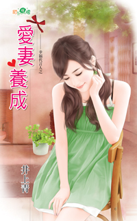 何夫子 封面