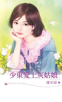 护妻大将军 封面