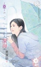 我的爱情不打烊 封面