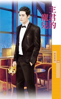 秘书娶为妻 封面