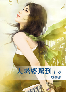 我满心伤痕的恋人 封面